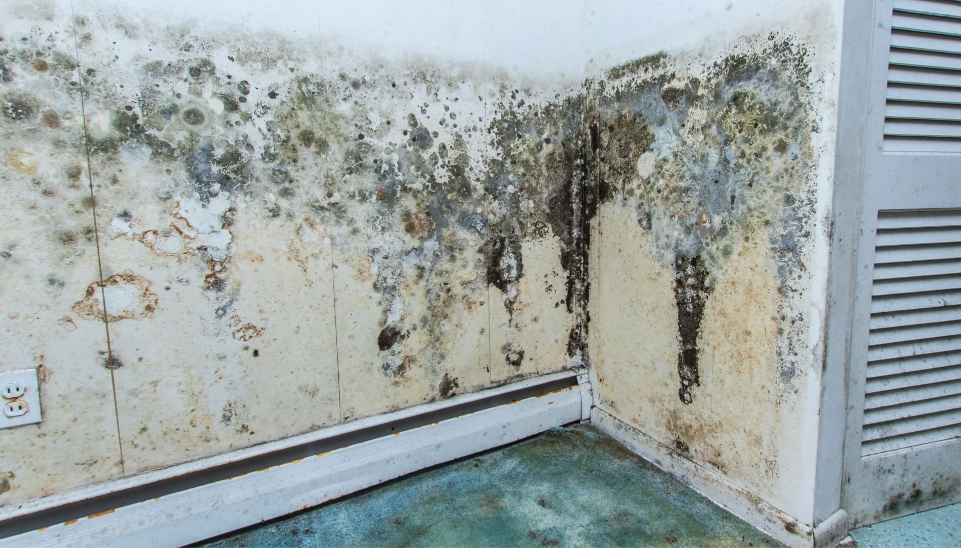 Professional mold removal, odor control, and water damage restoration service in Marco Island, Florida.