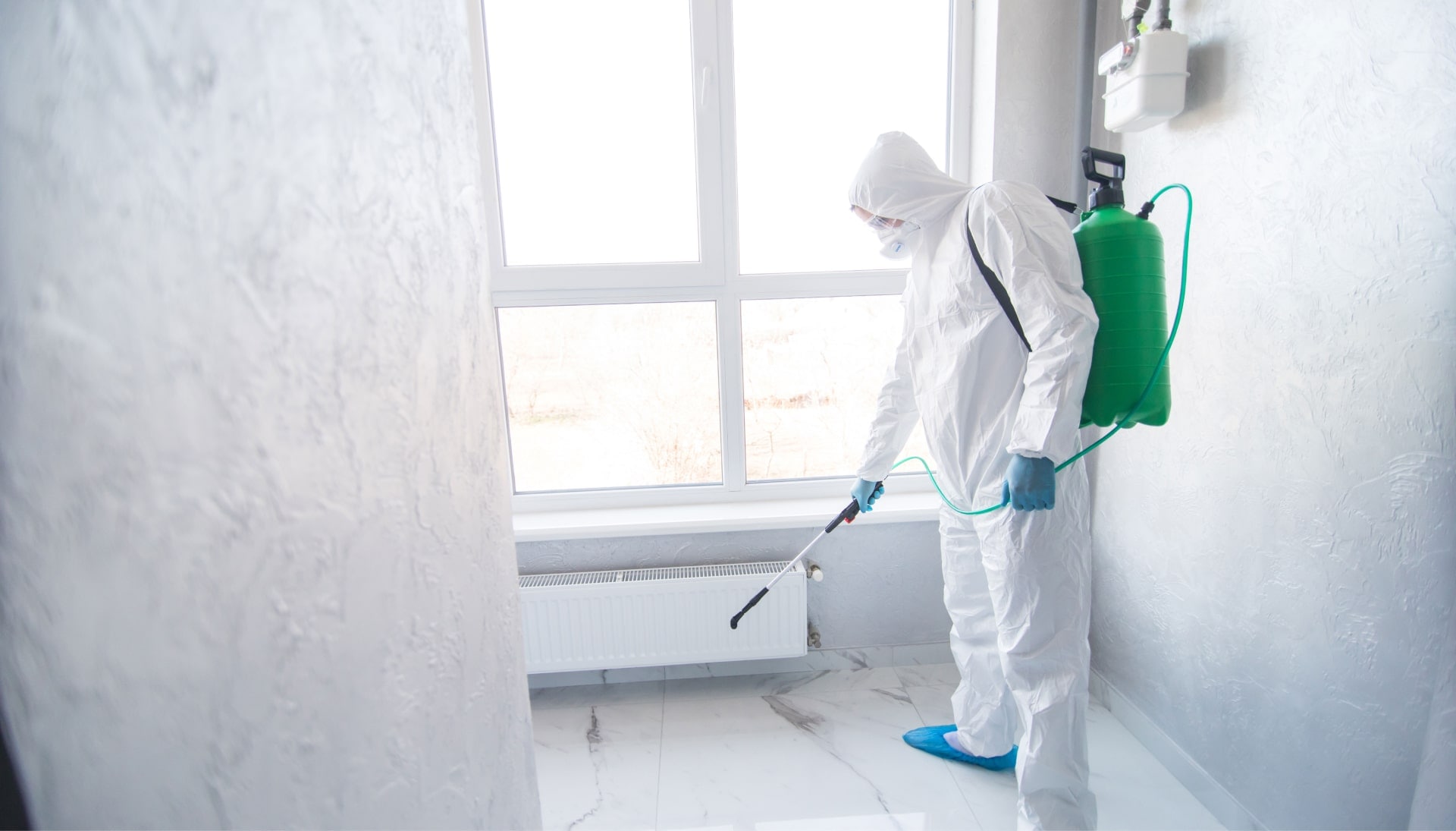 We provide the highest-quality mold inspection, testing, and removal services in the Marco Island, Florida area.